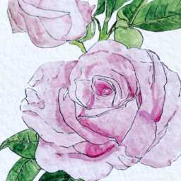 New York State Flower Map Watercolor Rose - Art Print Wall Suny Albany Graduation Wedding Realtor Moving Floral Mothers Day Gift - thumbnail 3