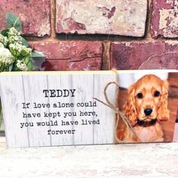 Cat Memorial Gift, Frame, Pet Memorial, Plaque, Photo Memorial Picture - thumbnail 3