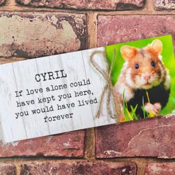 Cat Memorial Gift, Frame, Pet Memorial, Plaque, Photo Memorial Picture - thumbnail 4