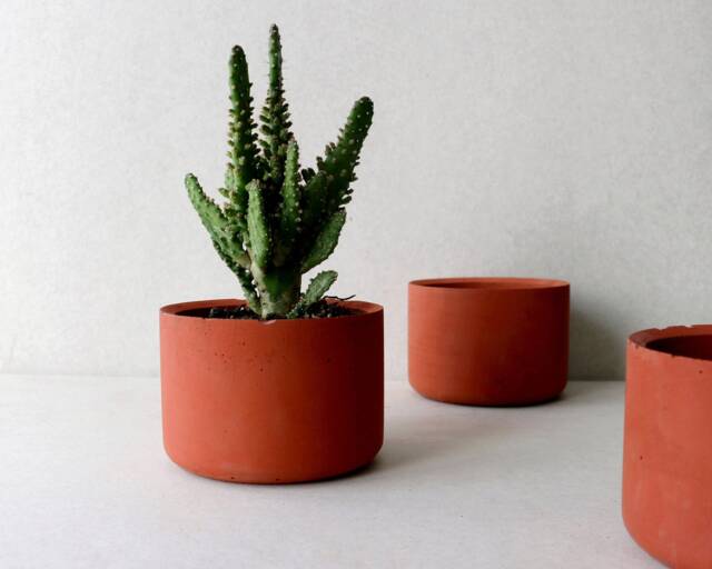 Terracotta Red Concrete Planter - 4 - image 1