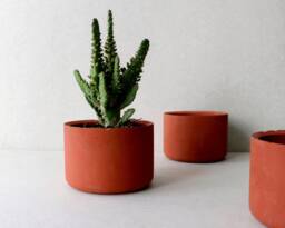 Terracotta Red Concrete Planter - 4