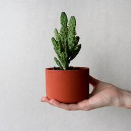 Terracotta Red Concrete Planter - 4 - thumbnail 3