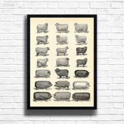 Vintage Sheep & Pigs Botanical Print Farmhouse Plant Wall Art - thumbnail 1