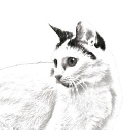 Japanese Bobtail - Wooden Stand For Candles/Pens With The Image Of A Cat New Collection - thumbnail 2