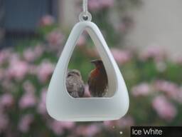 Pear Drop Bird Feeder - thumbnail 1