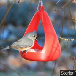 Pear Drop Bird Feeder - thumbnail 2