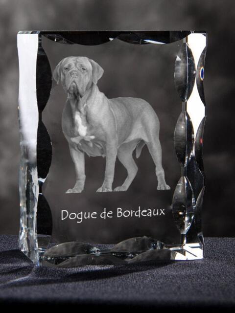 French Mastiff, Dogue De Bordeaux, Cubic Crystal With Dog, Souvenir, Decoration, Limited Edition, Collection - image 1