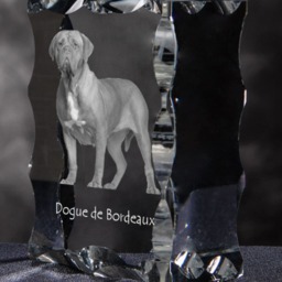 French Mastiff, Dogue De Bordeaux, Cubic Crystal With Dog, Souvenir, Decoration, Limited Edition, Collection - thumbnail 3