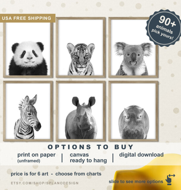 Black & White Animal Nursery Prints Safari Animals, Koala, Panda - Set Of 6 - image 1