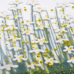 Handcrafted Fused Glass Art - Daisy Small Token - thumbnail 2