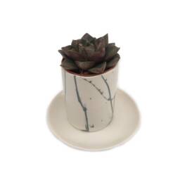 Plant Pot - Succulent Pots Desk Planter Cactus Pot Plantpot Birthday Gift For Him Christmas Gift Dad - thumbnail 3