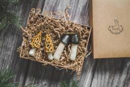Ceramic Woodland Christmas Mushrooms Tree Handmade Ornaments With Hooks