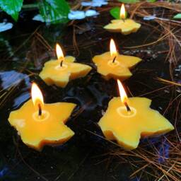 Floating Maple Leaf Beeswax Candles/100% Natural Handcrafted in The Usa Fall Event Party Summer Gift Candle Floats Water - thumbnail 1