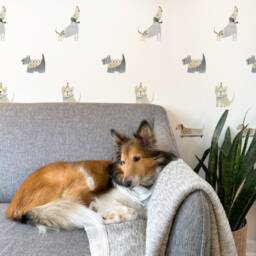 Dogs - Latte Fabric Wall Decal Pet House Mej - thumbnail 2
