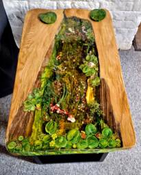 Koi Pond Coffee Table
