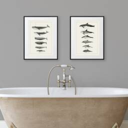 Whales & Dolphins Nautical Decor Set Of Two Prints Bathroom Wall Art Sealife Poster Coastal - thumbnail 2