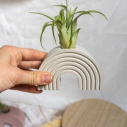 Rainbow Air-Plant Holder/ Cement/Airplants/Planters/ Candlestick Holder - thumbnail 2
