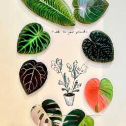 Magnets Leaf Shape - Green Pink Monstera Garden Accessories Houseplants Decoration Colourful Outstanding Special Whiteboard Fridge - thumbnail 2