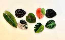 Magnets Leaf Shape - Green Pink Monstera Garden Accessories Houseplants Decoration Colourful Outstanding Special Whiteboard Fridge - thumbnail 1