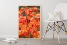 "Poppies, Poppy, Flower Art, Digital Download, Printable Bright Artwork, Wall Decor, Nature Print, Orange ""Poppy Heaven" - thumbnail 1