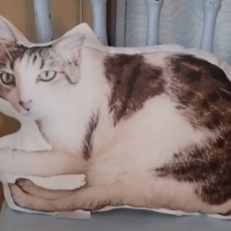 Huggable Custom Cat Photo Pillow, Mom Gift, Away At College Special Lover Lady Loss Bereavement Gift - thumbnail 3