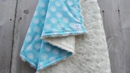 Turquoise Horseshoe Baby Blanket Cotton & Ivory Rosebud Minky - thumbnail 1