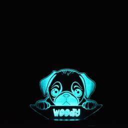 Personalised Pug Night Light Led Dog Puppy Light - thumbnail 4