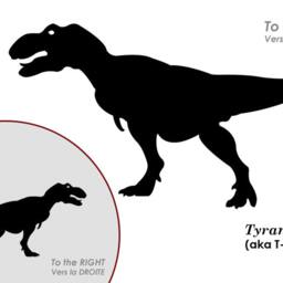 Dinosaur Mean Tyrannosaurus Rex - Aka T-Rex Running Chasing. Kid Or Nursery - Wall Decal - thumbnail 2