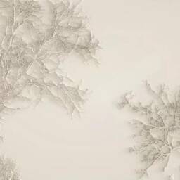 3D Branch Texture Wallpaper, Relief Tree Wall Mural, Peel & Stick - thumbnail 3