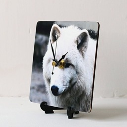 Wolf Desk Clock - Decoupage Photo Arctic White Wild Animal Square - thumbnail 3