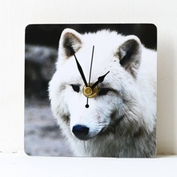 Wolf Desk Clock - Decoupage Photo Arctic White Wild Animal Square - thumbnail 2
