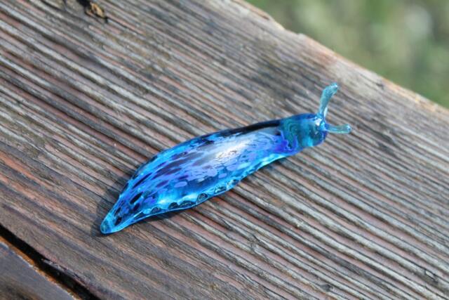 Blue Spotted Slug Glass Sculpture Glass Slug Lampwork Glass Animals Handcrafted - image 1