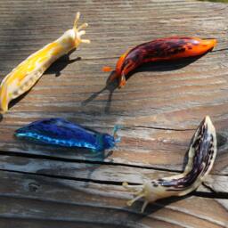 Blue Spotted Slug Glass Sculpture Glass Slug Lampwork Glass Animals Handcrafted - thumbnail 4