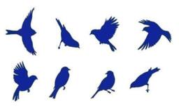 Garden Birds Stencil - Wall Art Instead Of Decals Stencils For Painting Walls Nature - thumbnail 4