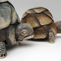 One-Of-A-Kind Ceramic Tortoise Sculpture - thumbnail 4