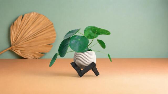 Recycled Wood Succulent/ Plant Pot - Indoor Outdoor Planter Eco-Friendly Gift For Lovers Cactus & Home Garden Decor - image 1