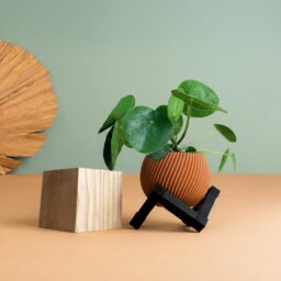 Recycled Wood Succulent/ Plant Pot - Indoor Outdoor Planter Eco-Friendly Gift For Lovers Cactus & Home Garden Decor - thumbnail 2
