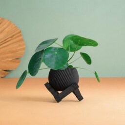 Recycled Wood Succulent/ Plant Pot - Indoor Outdoor Planter Eco-Friendly Gift For Lovers Cactus & Home Garden Decor - thumbnail 4