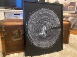 English Larch Tree Ring Woodcut Print, Black Fabriano Paper - thumbnail 1