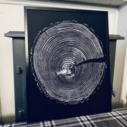 English Larch Tree Ring Woodcut Print, Black Fabriano Paper - thumbnail 2