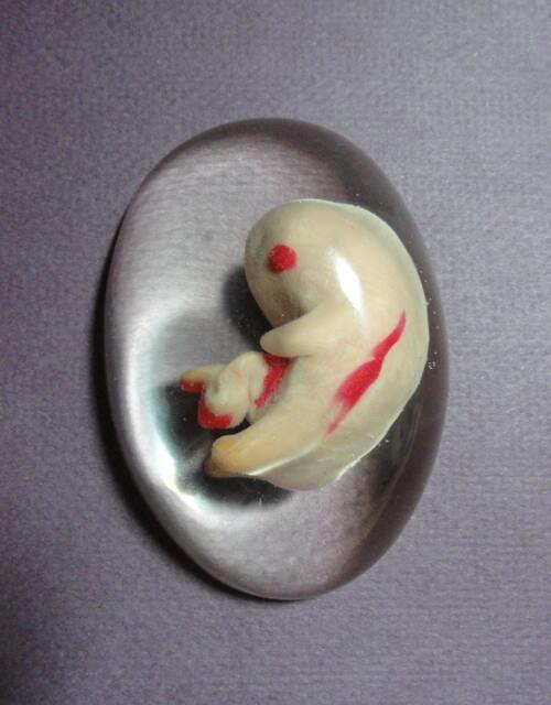 Fetus Paper Weight - image 1