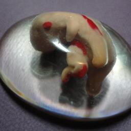 Fetus Paper Weight - thumbnail 3