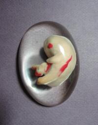 Fetus Paper Weight - thumbnail 1