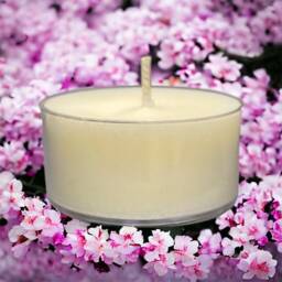Japanese Cherry Blossom Garden Scented Candles Soy Tealight Pale Pink - thumbnail 1