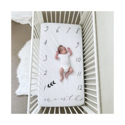 Milestone Bedding, Crib Sheet, Pillow , Milestone Baby Monthly Milestones, Blanket, Newborn Photo Prop