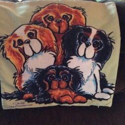 "Cavalier King Charles Spaniel Double Sided Decorative Pillow Cover - 17"" X 16" - thumbnail 4