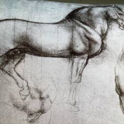 Christmas Gift Leonardo Da Vinci Horse Sketch Pillow Duck Feather Equestrian Cushion - thumbnail 3