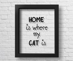Transparent Home Is Where My Cat Cats Wall Art Quote Pets Lover Gift Pet Gifts Print Poster - thumbnail 1