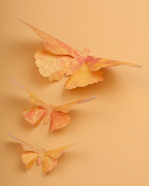 3D Butterfly Wall Art Autumn Splatter Paper Butterflies For Decor, Nursery, Children's Room - image 1