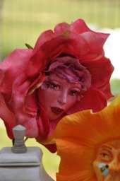 "Alice in Wonderland - NonTalking Flowers Spring Fever Series ""Rosy Petals" - thumbnail 2